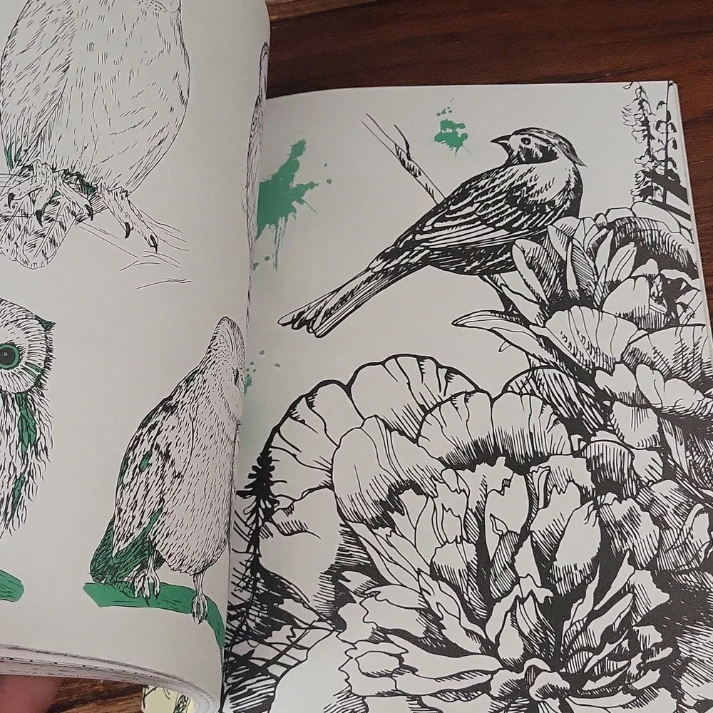 NWT Adult Coloring Book